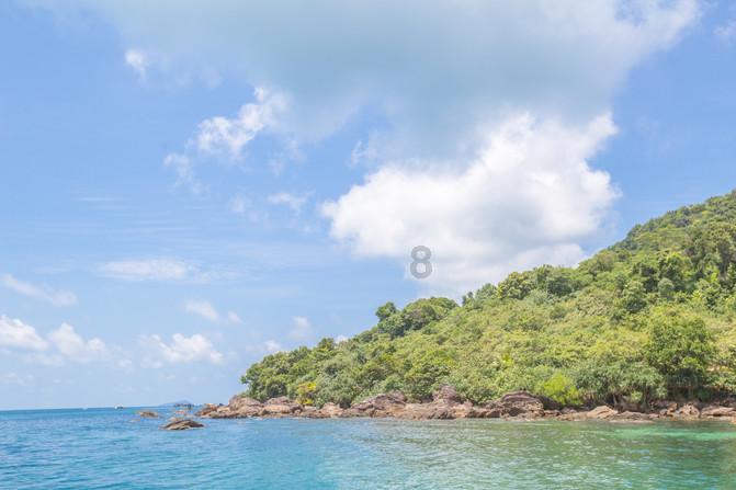 两次登上达沃斯 “中国之礼”竹叶青传递茶和天下的愿景