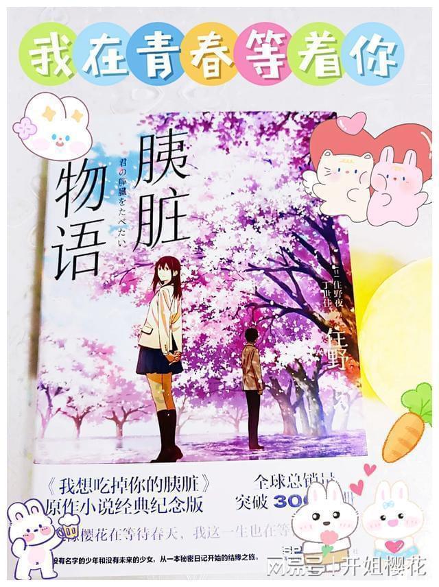 可爱小猫向上跳
